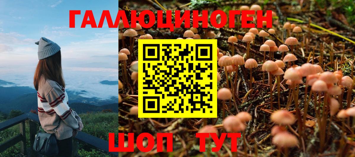 Псилоцибиновые грибы мицелий Сланцы